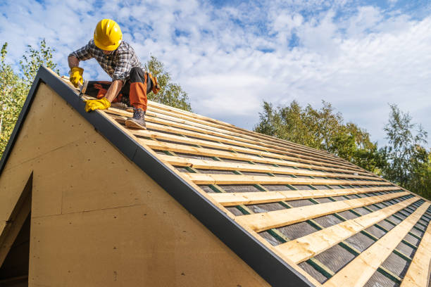 Best Roof Leak Repair  in Embreeville, TN