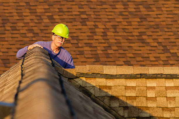 Roof Gutter Cleaning in Embreeville, TN