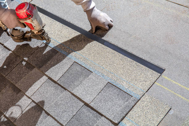 Best Roof Restoration Services  in Embreeville, TN