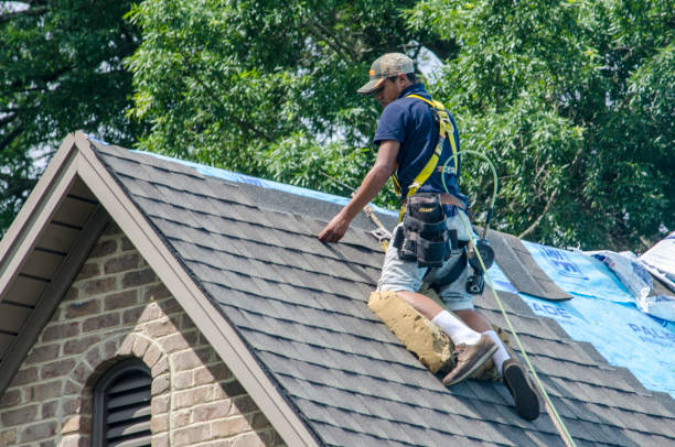 Roof Waterproofing Services in Embreeville, TN
